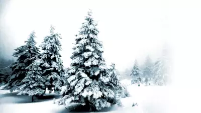 Winter Scene