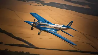 An aircraft soaring over golden fields