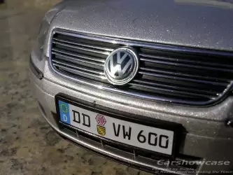 VW Paheton 028