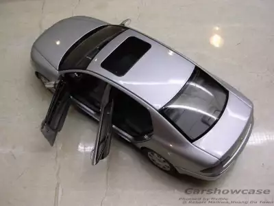 VW Paheton 007