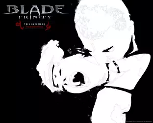 Blade 3 011