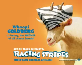 Racing Stripes 005