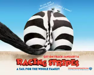 Racing Stripes 008