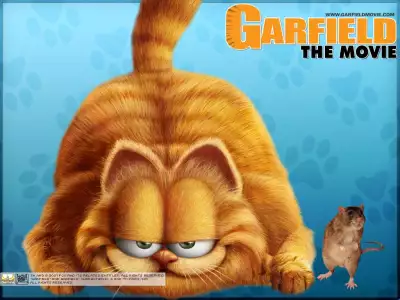 Garfield 009